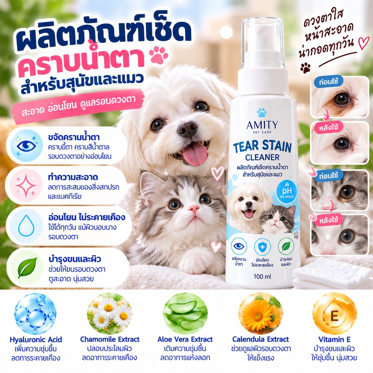ผลิตภัณฑ์เช็ดคราบน้ำตาสำหรับสุนัขและแมว