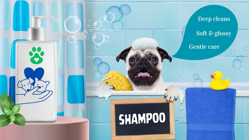 Pet Care